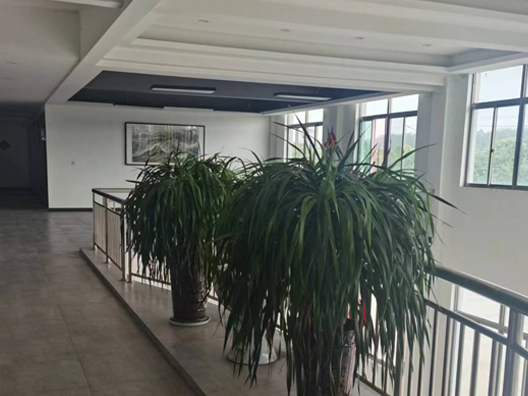 廠(chǎng)區(qū)設(shè)備